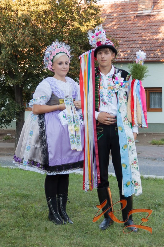 IMG 3792
