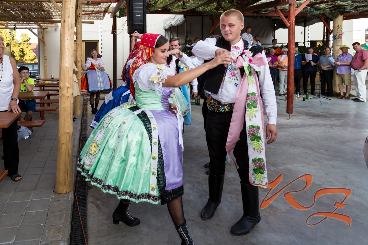 IMG 9091
