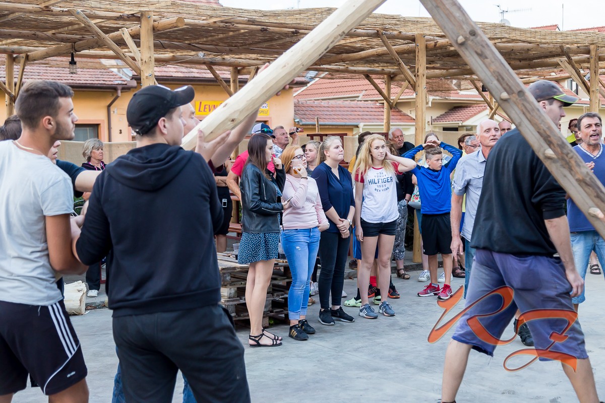 IMG 7816