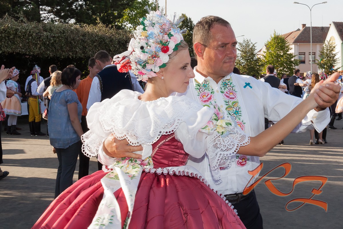 IMG 6601