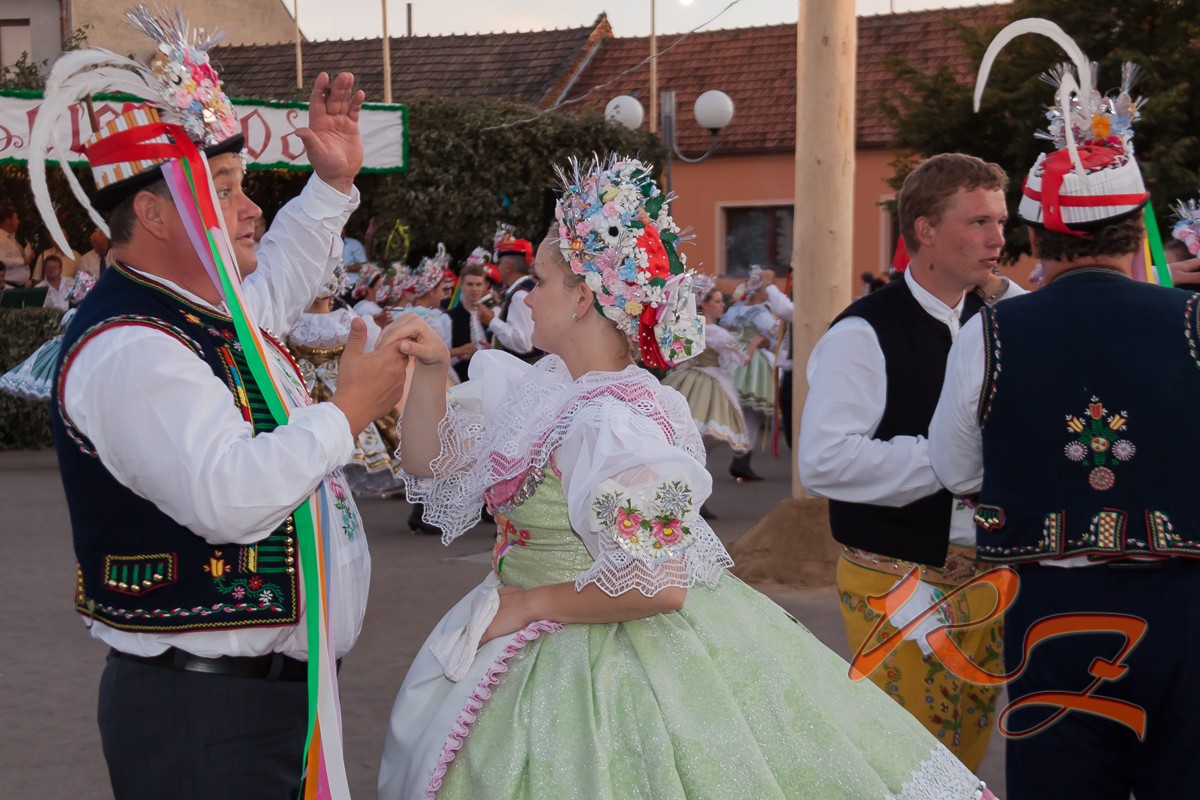 IMG 7192