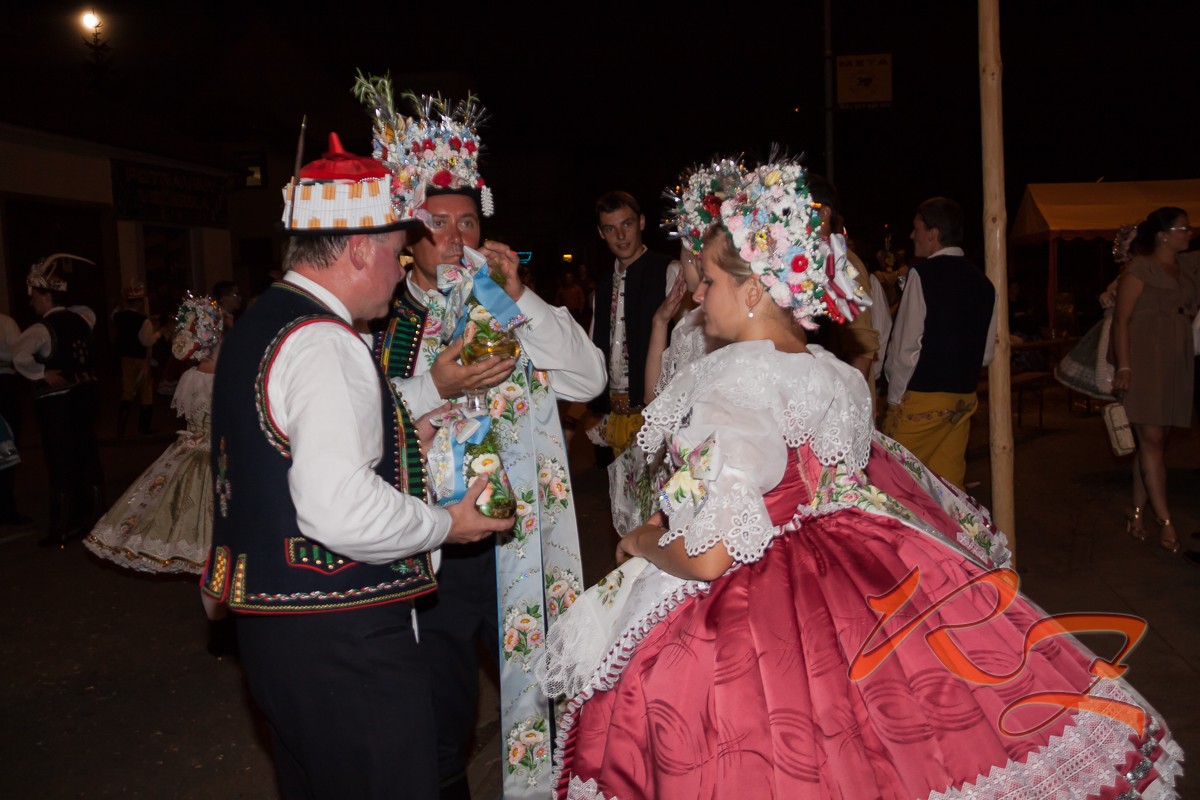 IMG 7568