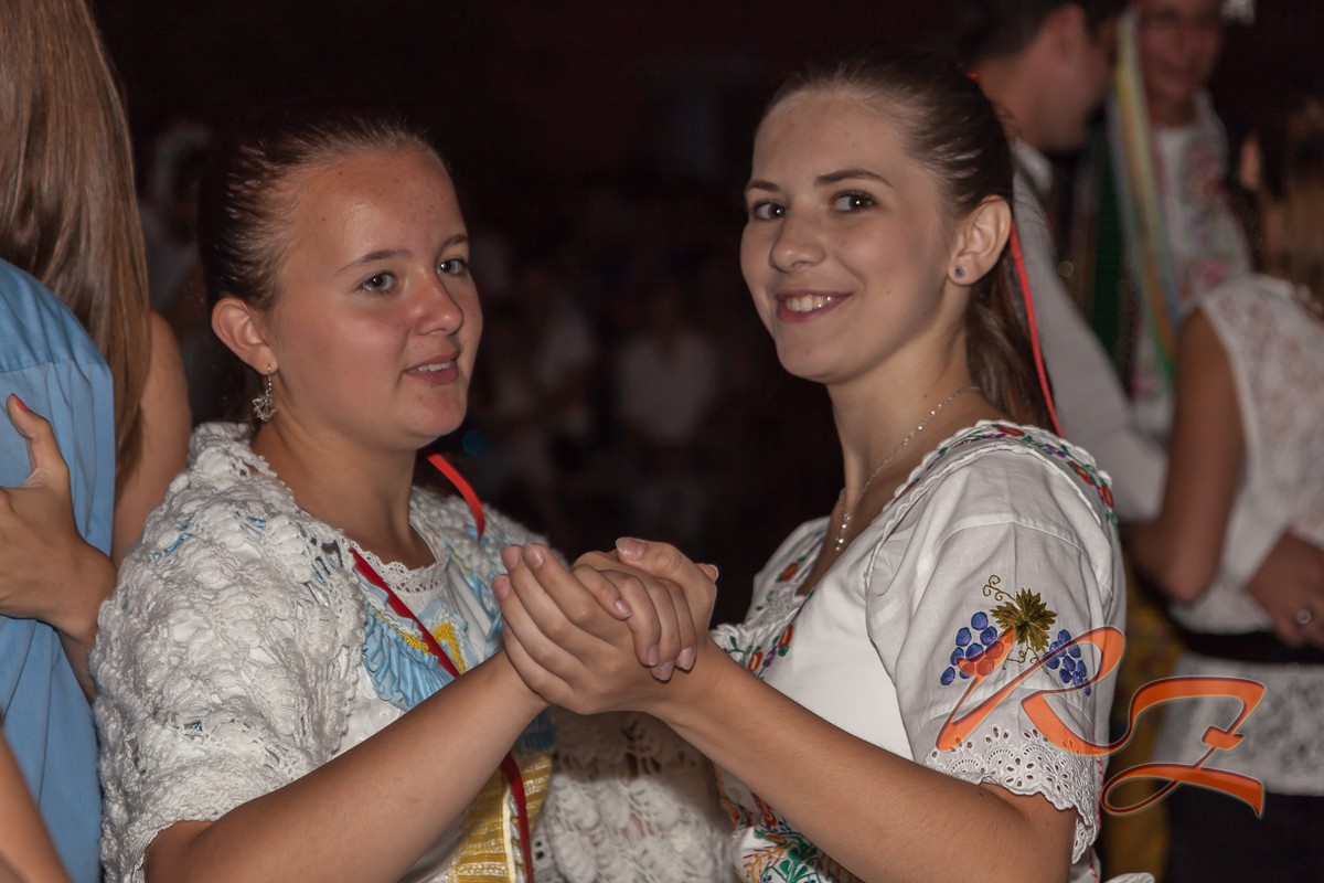IMG 4294
