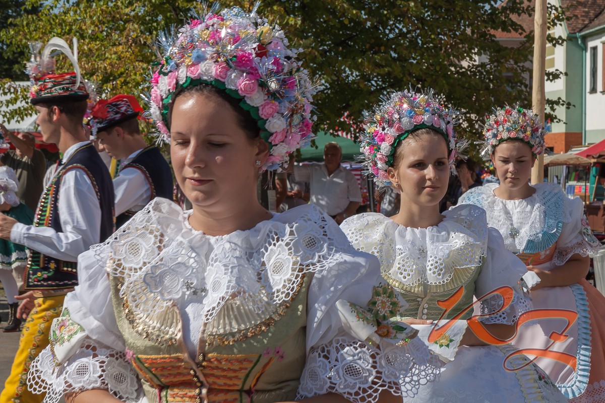 IMG 4564