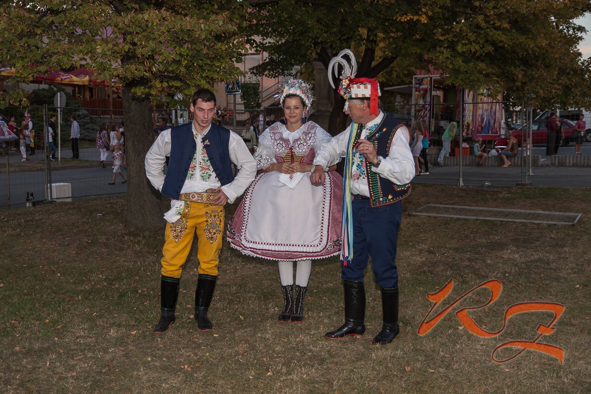 IMG 5551