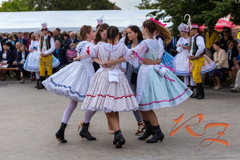 IMG 7210
